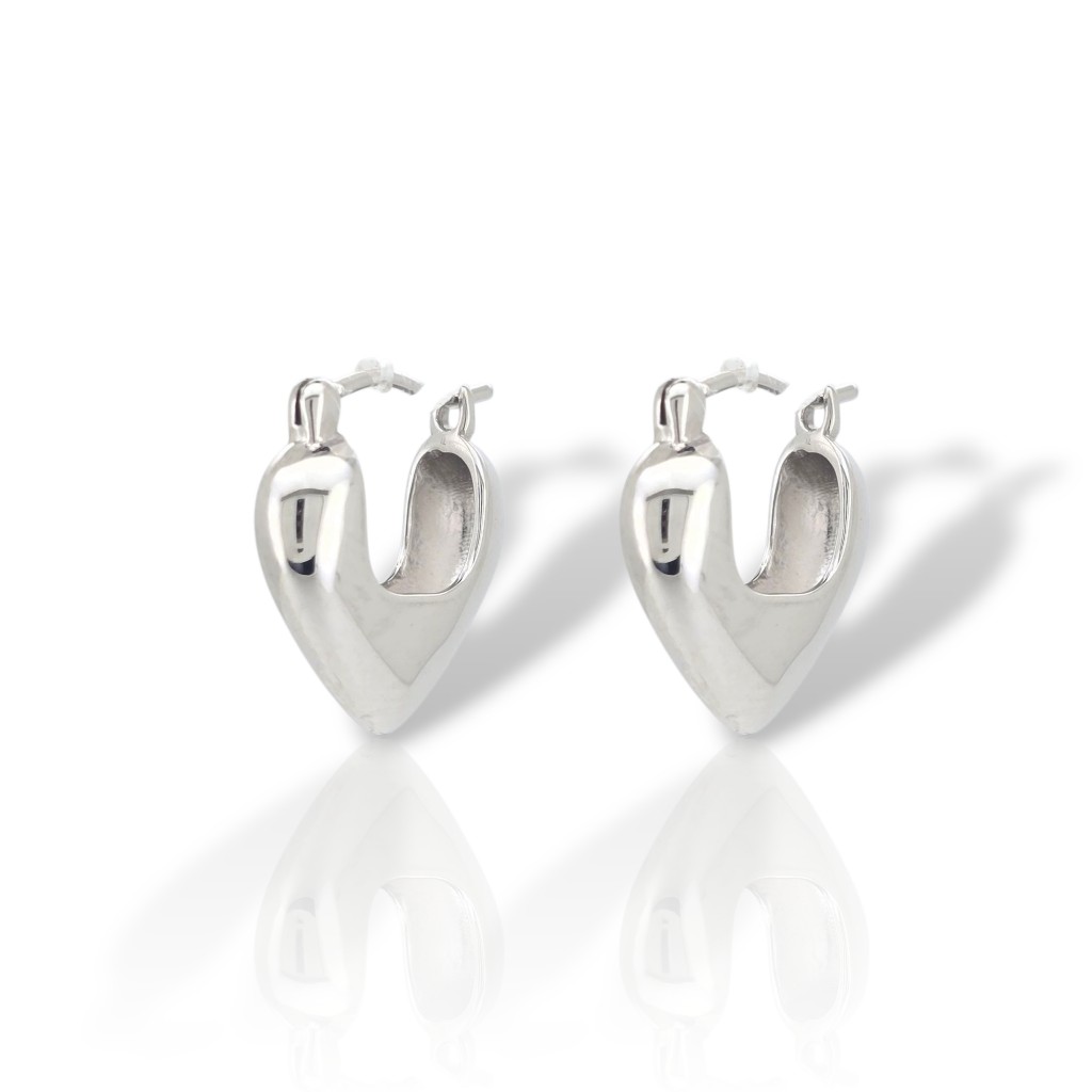 Platinum plated silver 925º hoop earrings (code FC2782)