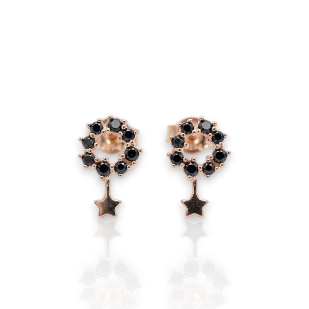 Rose gold plated silver 925º earrings (code FC001346)