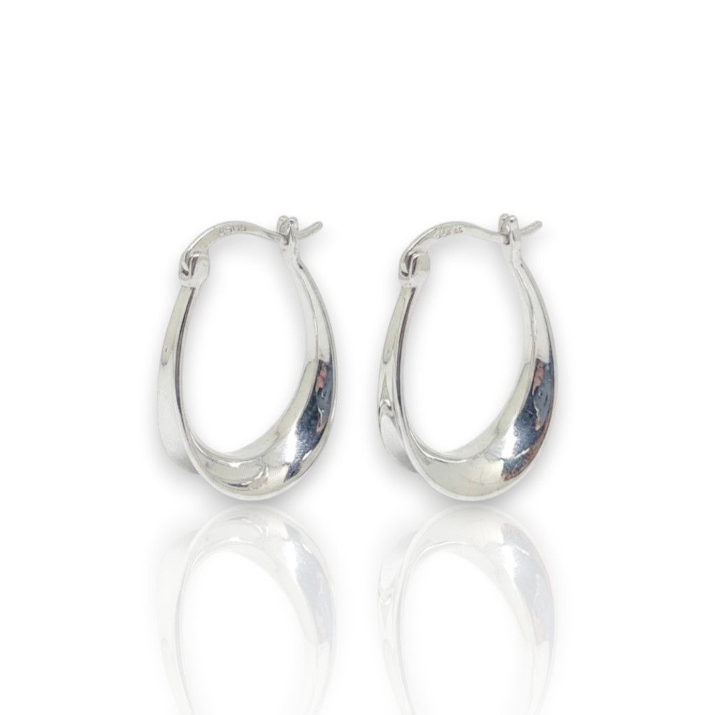 Platinum plated silver 925º earrings (code FC007205)