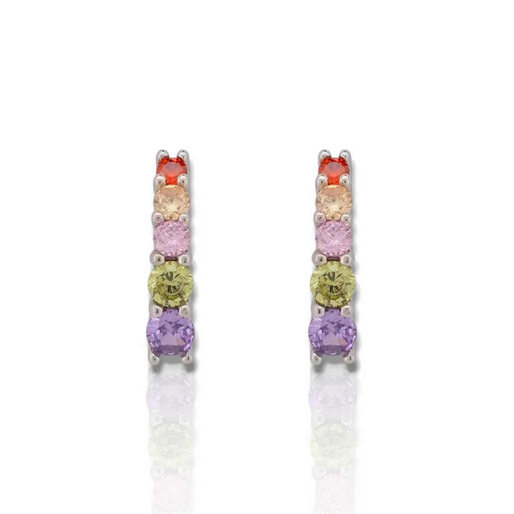 Platinum plated silver 925º  earrings (code FC008491)