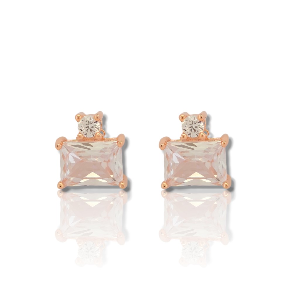 Orecchini in argento 925° oro rossa (code FC009958)