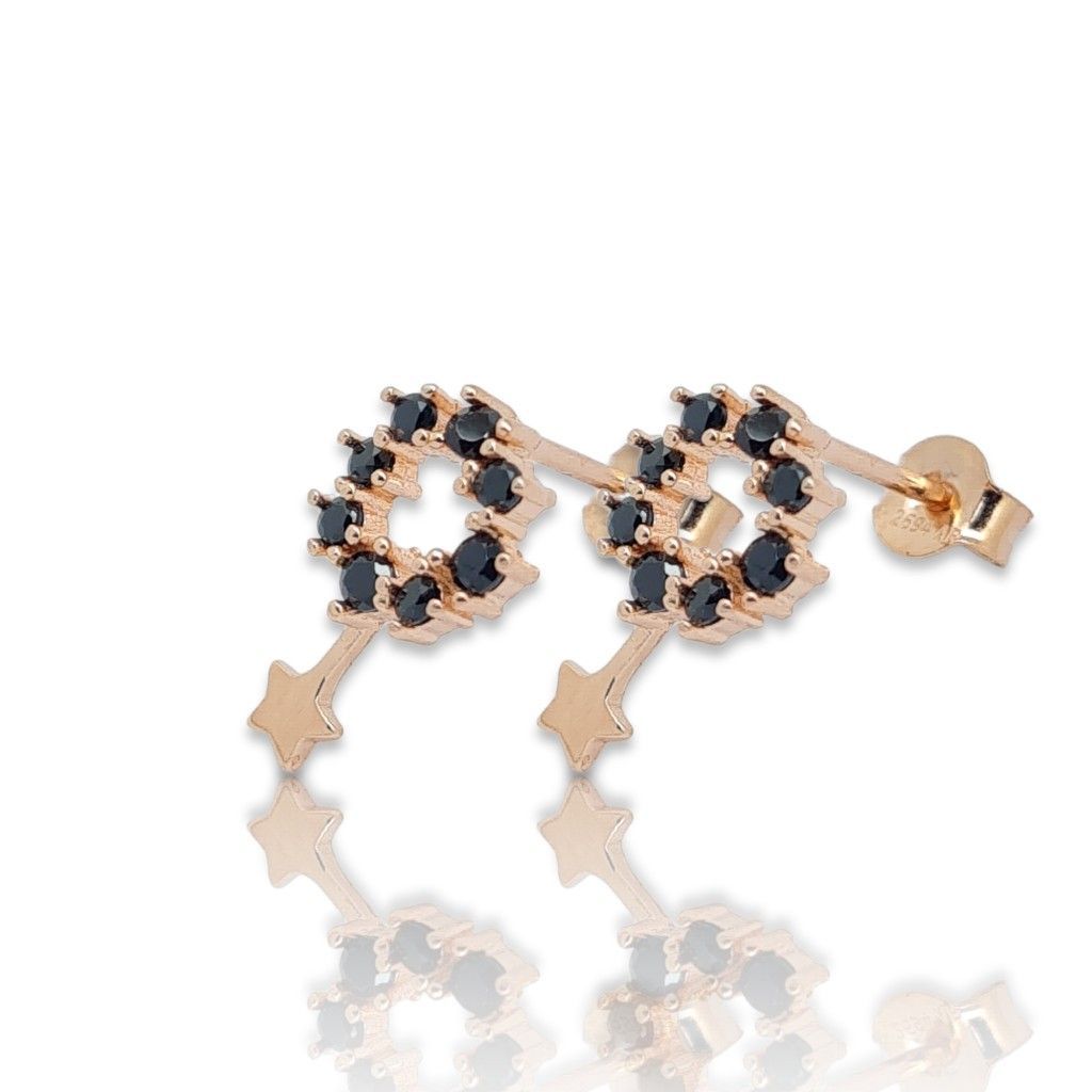 Rose gold plated silver 925º earrings (code FC001346)