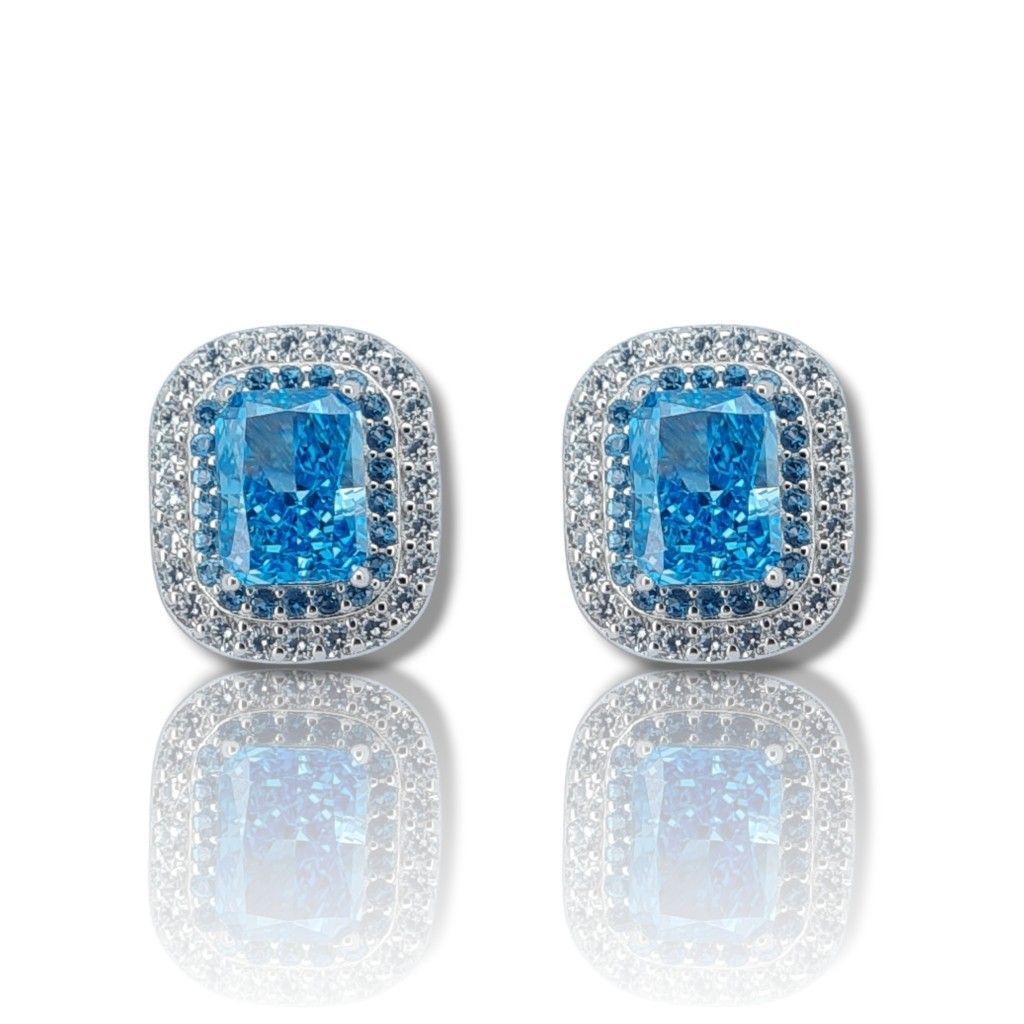 Platinum plated silver 925º earrings (code FC007883)