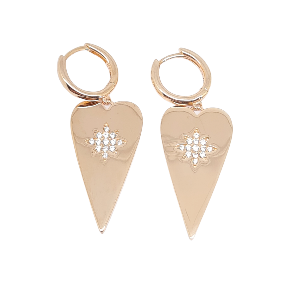 Rose gold plated silver 925º earrings (code FC003067)