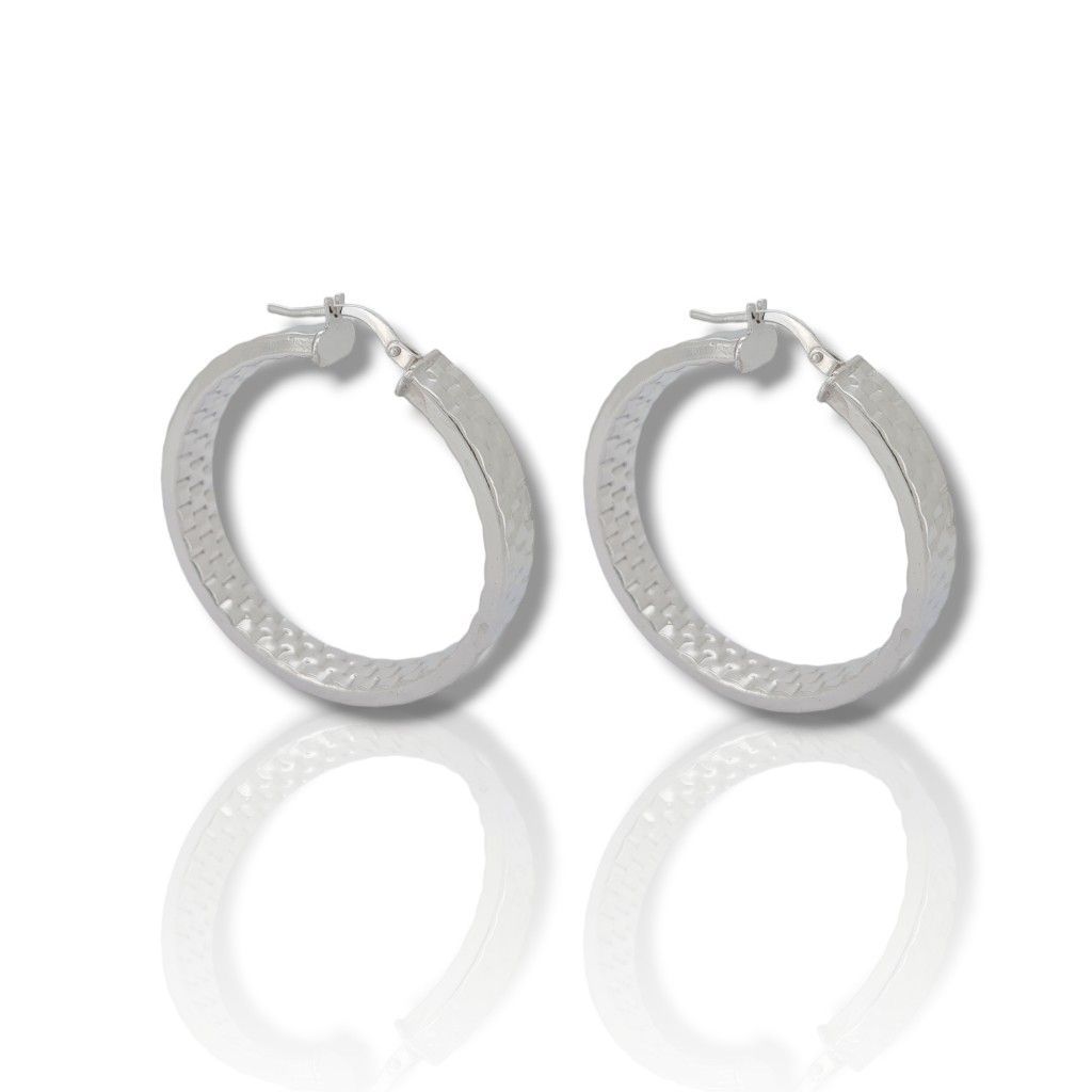 Platinum plated silver 925º  earrings  (code SHK1353B)