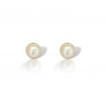 Gold earrings 9k (code AG2835)