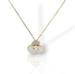 Κολιέ λουλούδι απο ασήμι 925º επιχρυσωμένο  (code FCM002819)