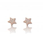 Orecchini Stella in argento 925° dorato (code FC001213)