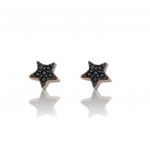 Rose gold plated silver 925º earrings with star (code FC003366)