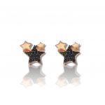 Rose gold plated silver 925º earrings with star (code FC006458)