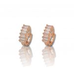 Orecchini in argento 925° dorato oro rossa (code FC005706)