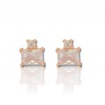 Orecchini in argento 925° oro rossa (code FC009958)