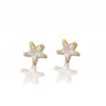 Yellow - gold plated  silver 925º STAR earrings (code FC011283)
