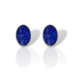 Orecchini in Argento Placcato Oro con Sodalite (FC013939)