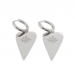 Platinum plated silver 925º earrings  (code FC003068)