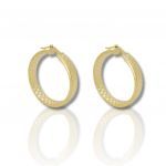 Gold plated silver 925º  earrings  (code SHK1353G)