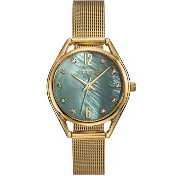 GREGIO Cluster GR510021