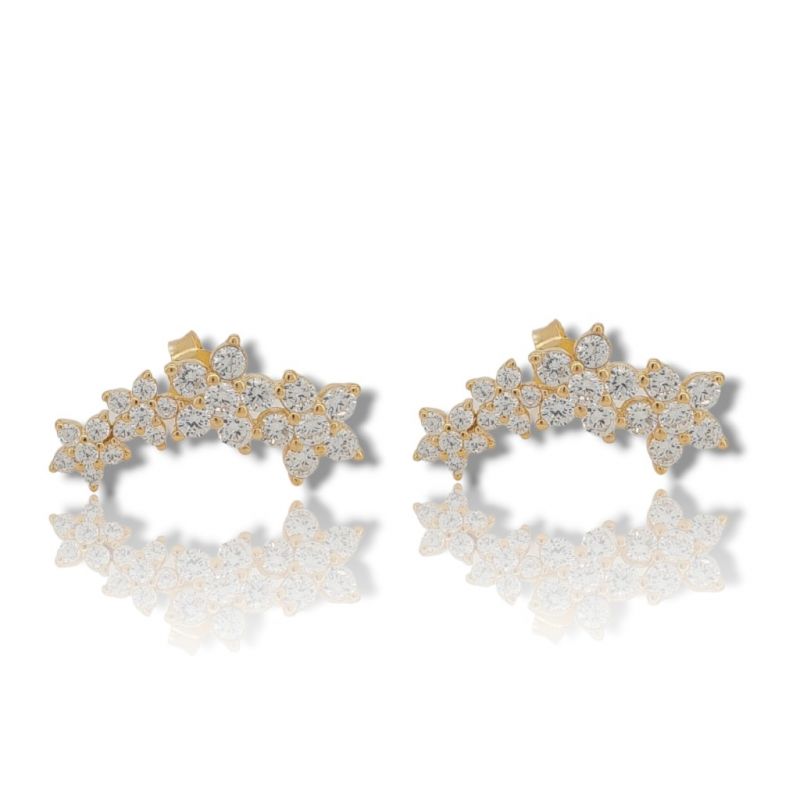 Φωτογραφία από Orecchini in argento 925° dorato con zirconi cubici (FC007500)