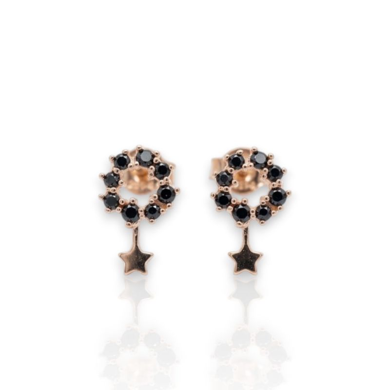 Φωτογραφία από Rose gold plated silver 925º earrings (code FC001346)