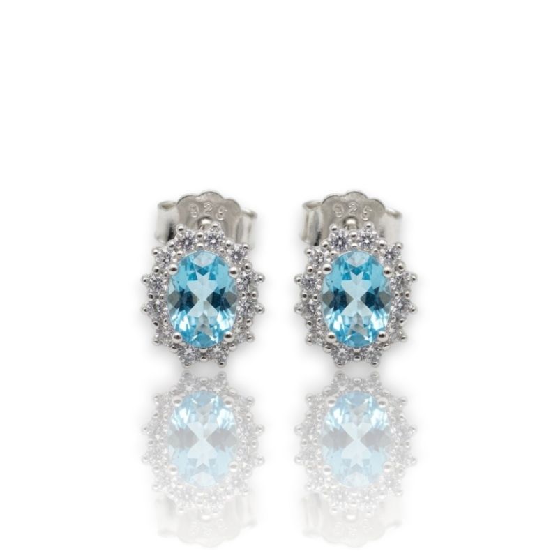 Φωτογραφία από Platinum plated silver 925º earrings (code FC005496)