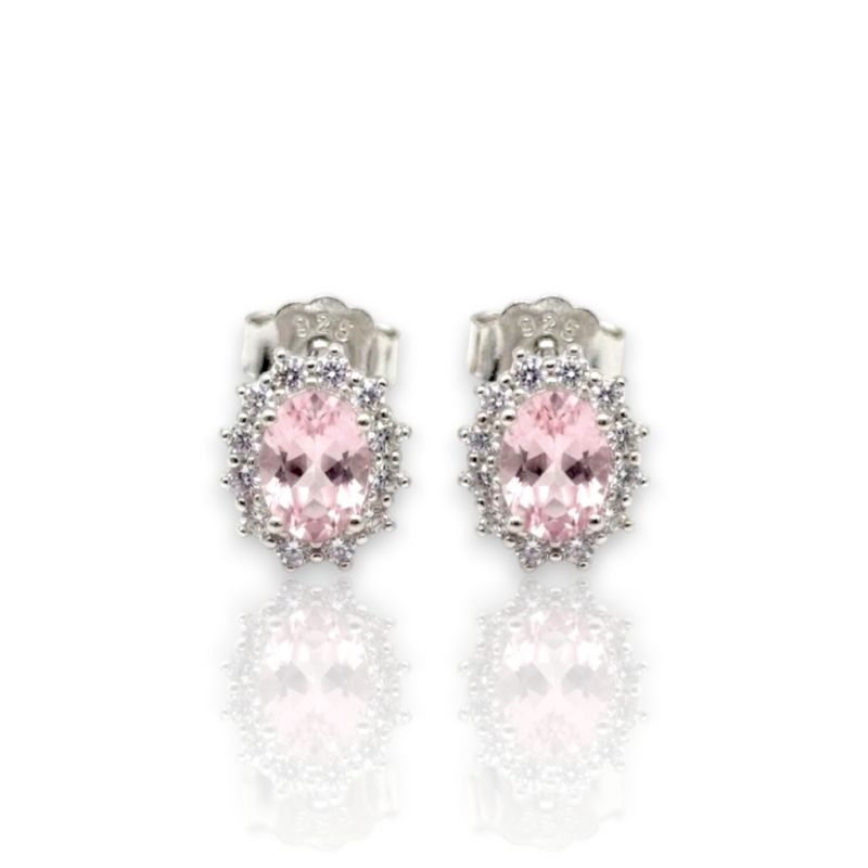 Φωτογραφία από Platinum plated silver 925º earrings (code FC005497)